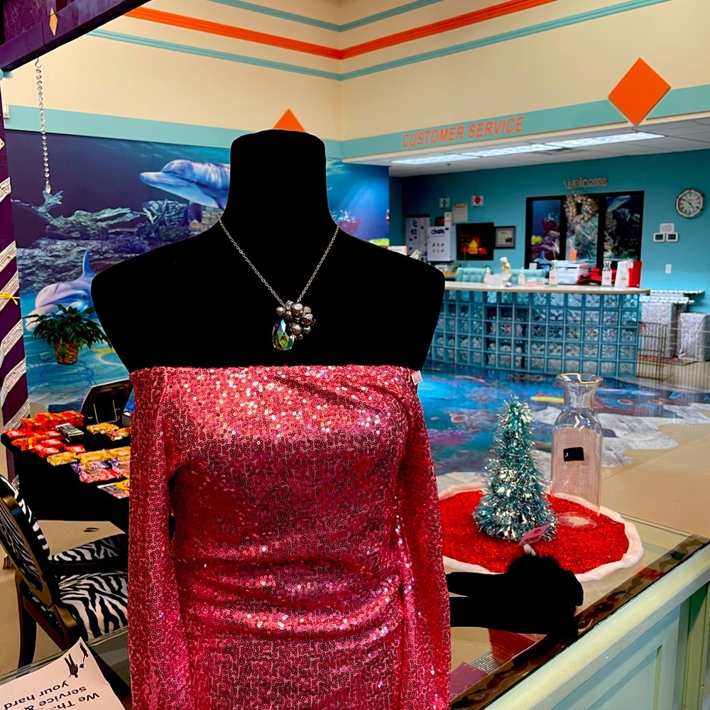 2 Beautiful Sequin Blouse long sleeves